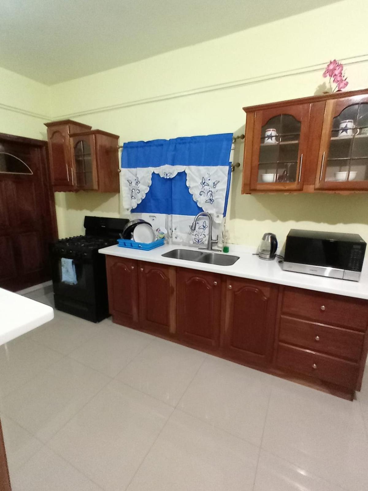 Royal Vybez Vacation Homes Spanish Town 外观 照片